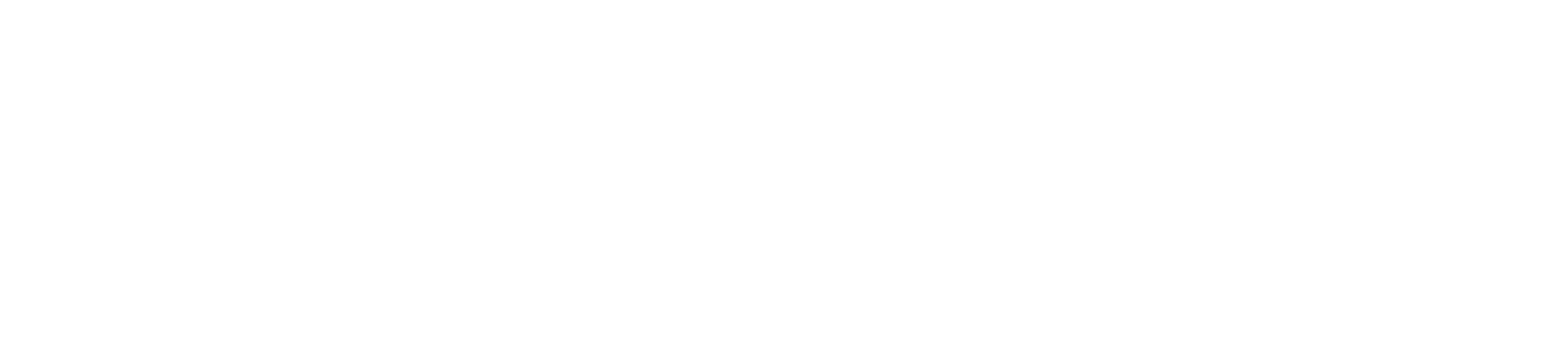 Sprinter Logo White